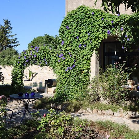 Aux Pots Bleus Bed & Breakfast Nissan-lez-Enserune Dış mekan fotoğraf
